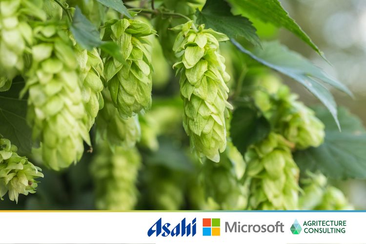 AI Agriculture AI Agriculture