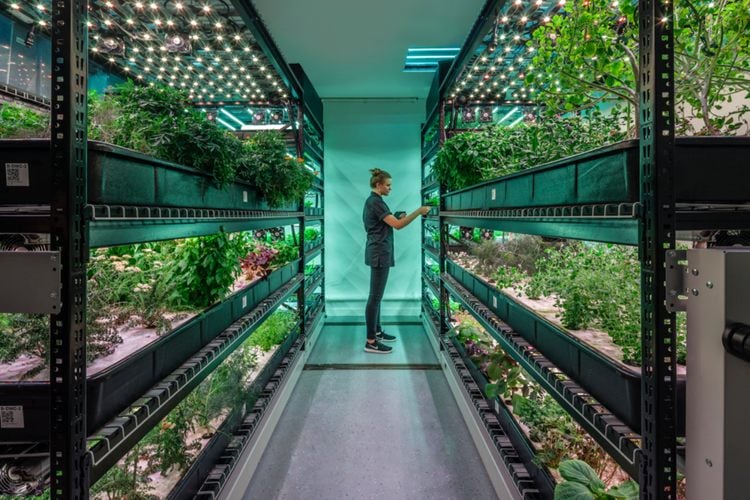How to Set up a Vertical Farming How to Set up a Vertical Farming